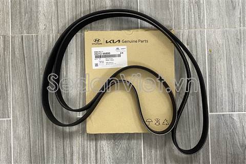 Dây curoa tổng 252124A800