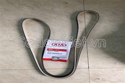 Dây curoa tổng Hyundai Starex 2008-2013