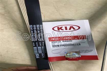 Dây curoa tổng 252124A600