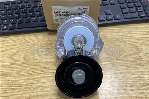 Cụm tăng dây curoa tổng 252814A600
