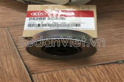 Bi tì tổng 252863C250