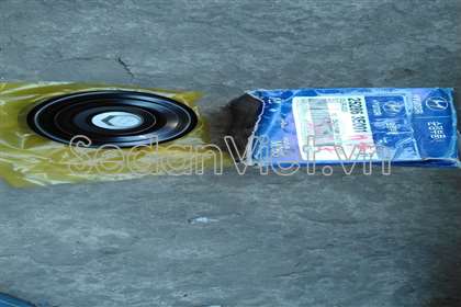Bi tì tổng Kia New Carnival 2008-2011
