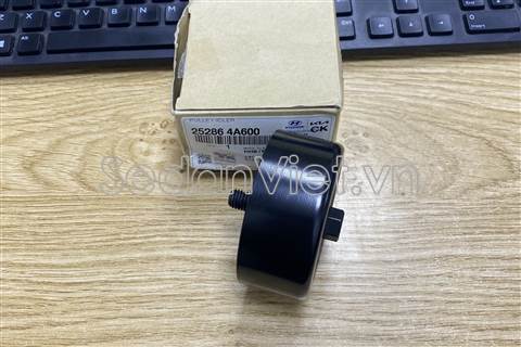 Bi tì tổng 252864A600