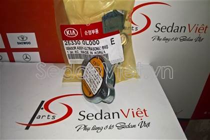 Nắp két nước 253300L000