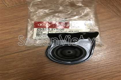 Chân đỡ két nước 253332P000