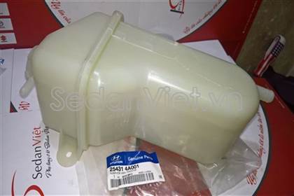 Bình nước phụ - 254314A001