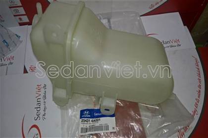 Bình nước phụ 254314A001