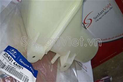 Bình nước phụ 254314A001