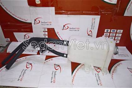 Bình nước phụ 254314A400