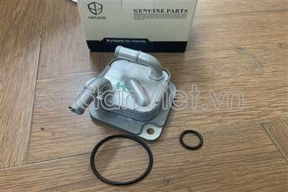Két làm mát dầu hộp số 255605T0003