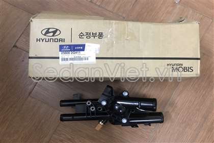 Cụm van hằng nhiệt 256002G411