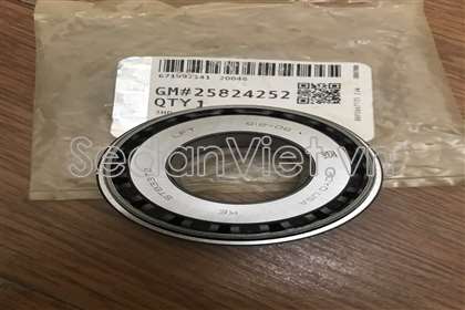 Bi cầu sau 25824252