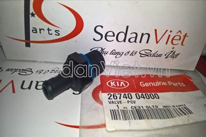 Van hơi một chiều 2674004000