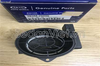 Cảm biến lưu lượng khí nạp 2816425000