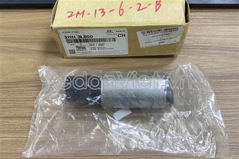 Motor bơm xăng 311113L800