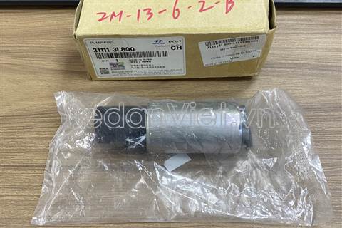 Motor bơm xăng 311113L800