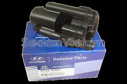 Lọc xăng có lỗ khí 311121CA00