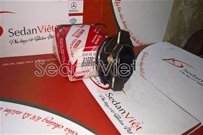 Bi tê 3123035091