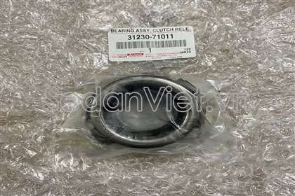 Bi tê 3123071011