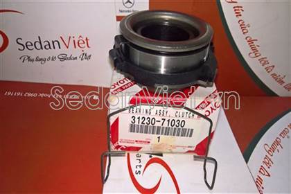Bi tê - 3123071030