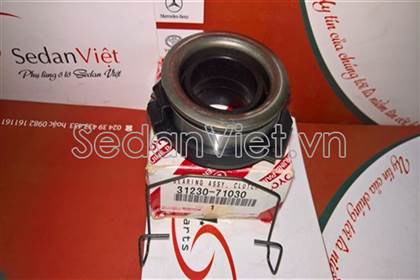 Bi tê 3123071030