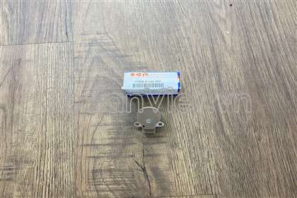 Chổi than máy phát điện 3165661J20000