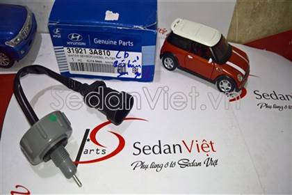 Cảm biến báo bẩn lỗ 319213A810