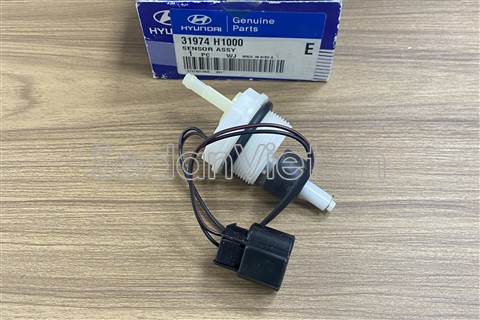 Cảm biến báo bẩn nhiên liệu 31974H1000