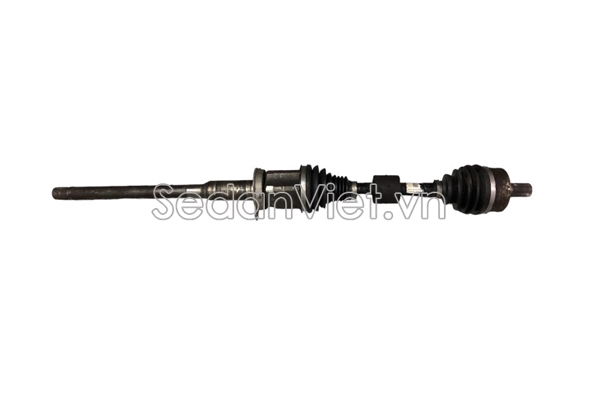 Cây láp phải 32240710