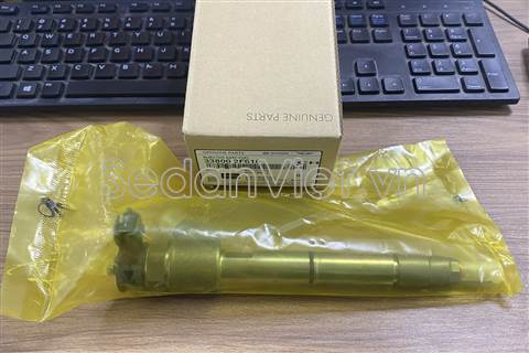 Kim phun dầu động cơ 338002F610