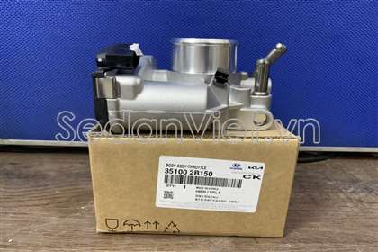 Cụm bướm ga 351002B150