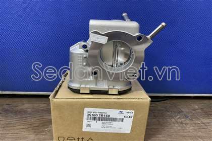 Cụm bướm ga 351002B150