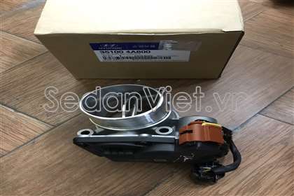 Cụm bướm ga 351004A800