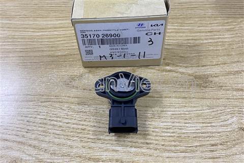 Cảm biến bướm ga