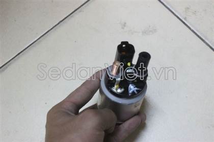 Chuột đề 3612003100