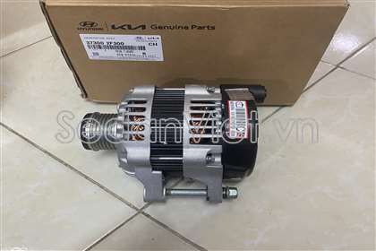 Máy phát điện 373002F300
