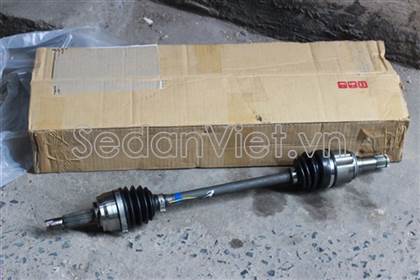 Cây láp trái 3815A423