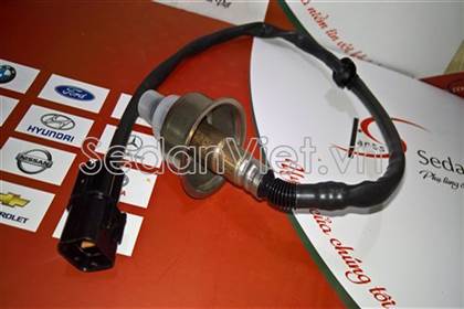 Cảm biến oxy 3921004005