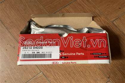 Cảm biến oxy 3921004005