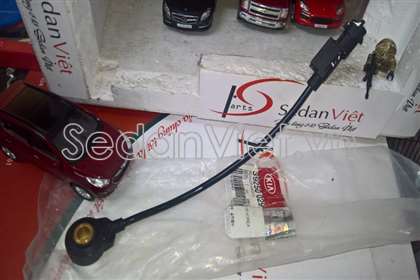 Cảm biến tiếng gõ động cơ 3925002400
