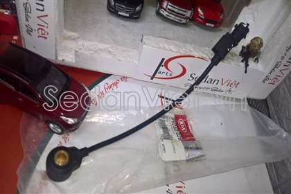 Cảm biến tiếng gõ động cơ - 3925002900