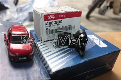 Cảm biến đo gió 393002B000
