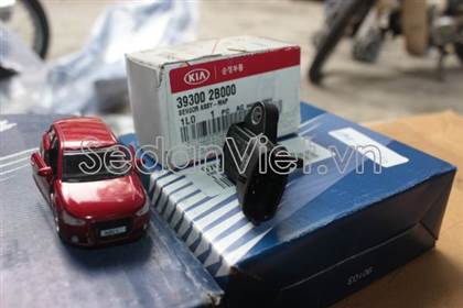 Cảm biến đo gió 393002B000