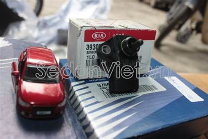 Cảm biến đo gió 393002B000