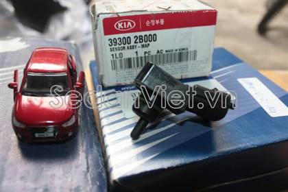 Cảm biến đo gió 393002B000