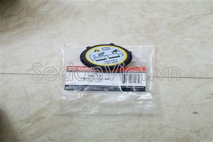 Nắp bình nước phụ Ford Fiesta 2010