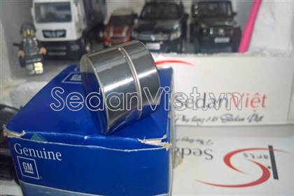 Con đội thủy lực 4200118100