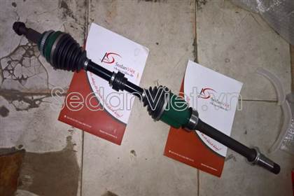 Cây láp phải 4341006570