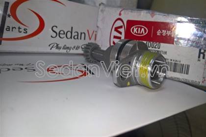 Sâu công tơ mét 436244D020
