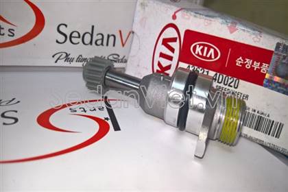 Sâu công tơ mét 436244D020
